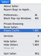 Safari cache