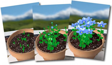 Flower Garden screen shots