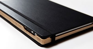 Dodo iPad Case