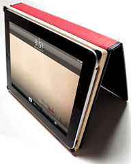 Dodo iPad Case