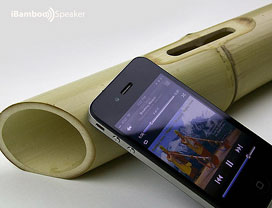 iBamboo Speaker