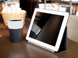 BoxWave Nuovo iPad Case