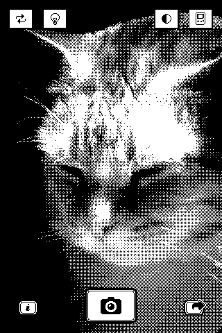 1-Bit Camera