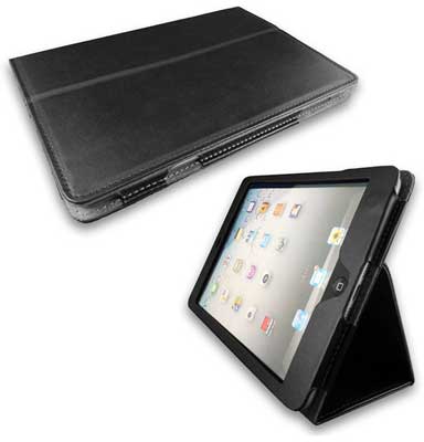 iPad mini Portfolio Case