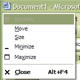 Control menu