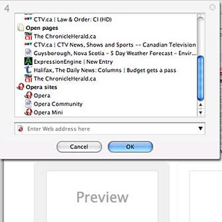 Opera 9.5 detail