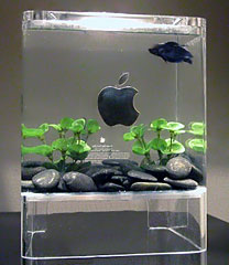 G4 Cube repurposed as an aquarium