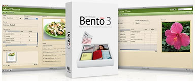 Bento 3 Family Organizer