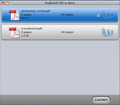 PDF to Word