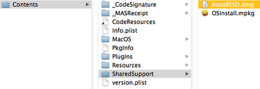 InstallESD.dmg