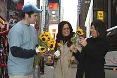 sunflowers