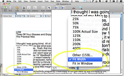 Zoom options in Mariner Write